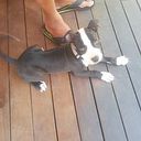 Inmaculada Garcia Moreno