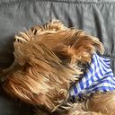 Alejandra Ávila Martínez