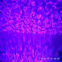 Nyanko-Sadida Mashmallow