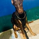 jhon fernando franco