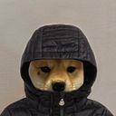 Darío Cámara Gómez