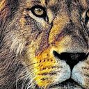 Juan Carlos Riera Medina