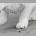 Christelle Maligorne