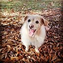 Andrea Sánchez Riadi