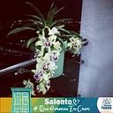 Alba Marina Avila Llano