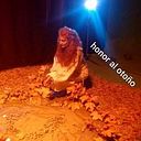 Claudia Teruel Torrecillas