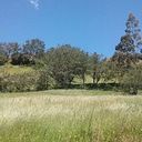 Rocio Rabanal Becerra