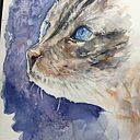 Françoise Vander Bracht