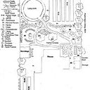 Maurizio Olivieri Olivieri