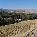 Omar Herrera Fernandez