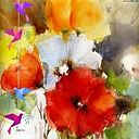 Adriana García Zavaroni