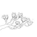 Selvia Mahilda Ridhoha