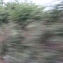 massimiliano_difranca