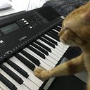 Nery Espinosa Castillo