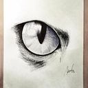 Miguel Angel Paños Gárgoles