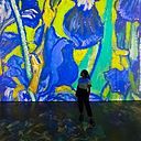 Emperatriz Zavala Padilla