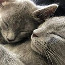 Mar Fernandez Folgueira