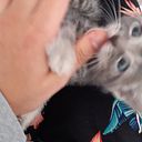 Almendra Sánchez Dávila