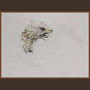 Nelson Vladimir Alcauter Avila