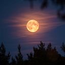 Nishely Gutiérrez Vásquez