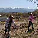 Josefina Silva Farias