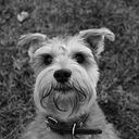 Danae López Carmona