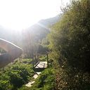 Nicole Ortiz Sedlackova