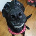 Mackay Quezada Obreque