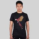 Santiago Tipán Conde