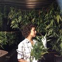 nayadeartemisamirandarobles