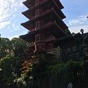 Maria Cecilia Parra Arbelaez