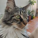 patricia arias miguelez