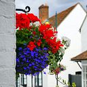 Danae Jimenez Castro