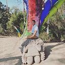 Sebastian Maldonado Sanchez