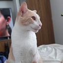 Jhonatan David Quevedo Molina