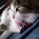 Natalia Andrea Robayo