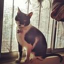 Yorkiwish V. Sepulveda