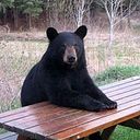 Hafatlazat Hafatlazat