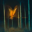 Constanza Céspedes Rodriguez