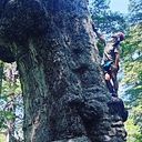 Zen-on Mar-dones Herrero