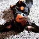 Valeria Marilí Molina