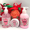 Yorleny Naranjo Soto