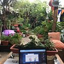 Margarita Valdez Castillo