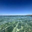 Carolina CF and Gloriana ZR