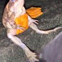 cochomartinez001