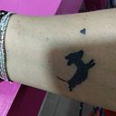 Maria Soledad Messina Avila