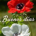 René Osvaldo Villanueva Chavez