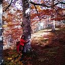 Amparo Miralles Martinez