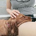 Vivian Grandez Molina