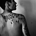 Diego Castillo Polanco